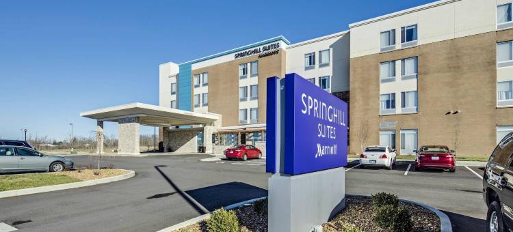 代顿北SpringHill Suites酒店(SpringHill Suites Dayton Vandalia)图片