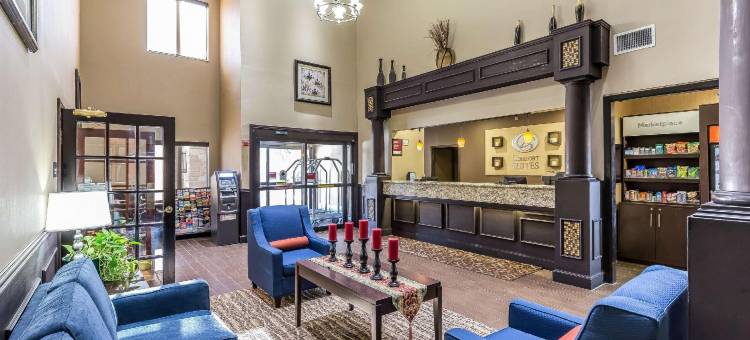 舒适套房酒店-克洛尼普莱诺西(Comfort Suites the Colony - Plano West)图片