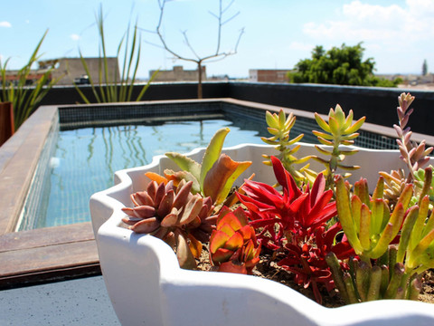 莱昂柯布艾琳娜酒店 - 设计酒店会员