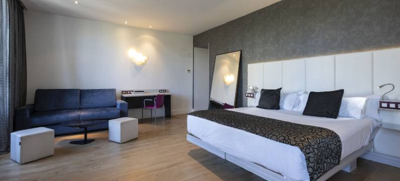 珀蒂宫圣巴巴拉酒店(Petit Palace Santa Bárbara)图片