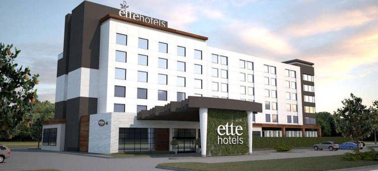 埃特酒店(Ette Hotel - Orlando)图片