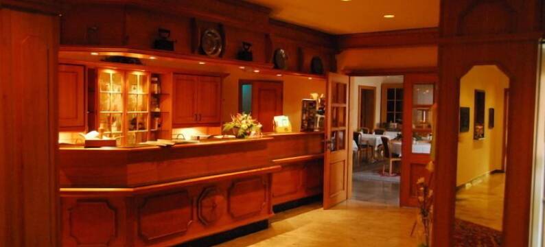 海尔姆斯兰德酒店(Landhotel Helms)图片