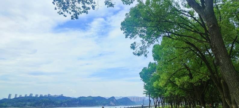 陌上桑一薄荷之夏峡江民宿(西陵一路分店)图片