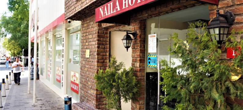 奈拉酒店(Naila Hotel)图片