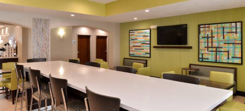 智选假日套房酒店辛辛那提- 布鲁艾施(Holiday Inn Express & Suites CINCINNATI-BLUE ASH by IHG)图片