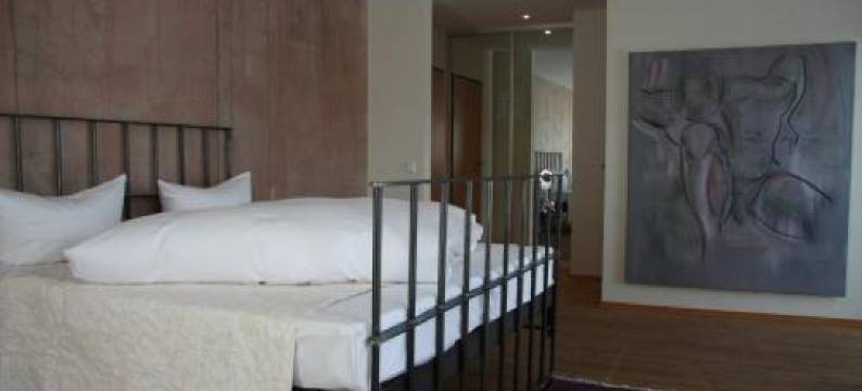 萨帕餐馆酒店(Hotel Zapa)图片