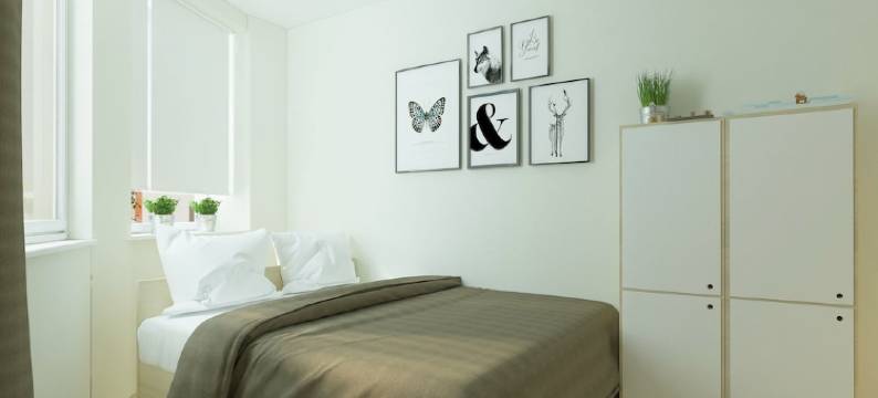 伏尔加青年旅舍(Volga Hostel)图片