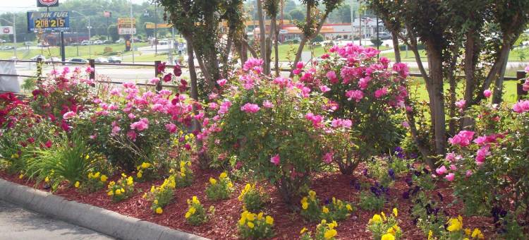 克林顿诺克斯维尔北凯艺酒店(Quality Inn Clinton-Knoxville North)图片