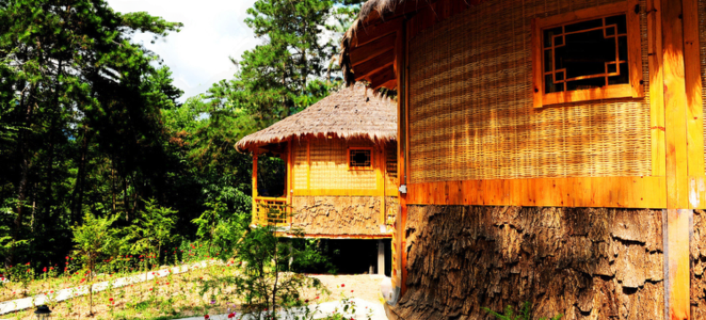 宁陕上坝河国家森林公园秦岭小镇图片