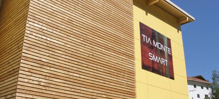 泰亚智能自然酒店(Hotel TIA Smart Natur)图片