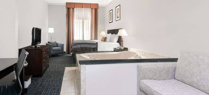 雅典市中心蔚景温德姆酒店(Wingate by Wyndham Athens Near Downtown)图片