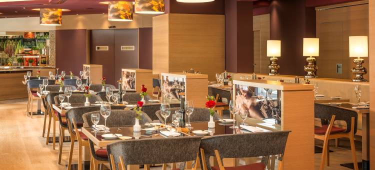 佛莱堡多林特温泉酒店(Dorint Thermenhotel Freiburg)图片