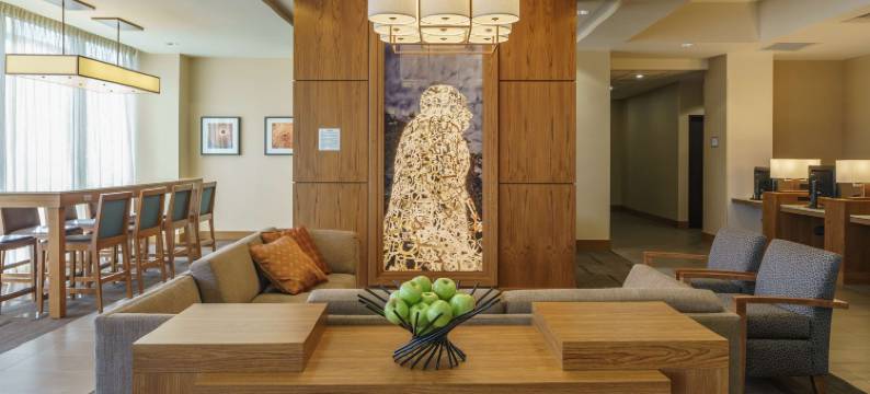 休斯顿/购物中心凯悦嘉轩酒店(Hyatt Place Houston/Galleria)图片