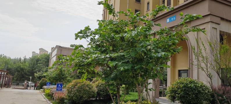 晶晶的暖居公寓(艳阳路分店)图片