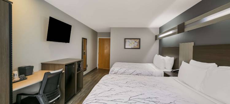 塞维尔维尔贝斯特韦斯特SureStay Plus酒店(SureStay Plus Hotel by Best Western Sevierville)图片