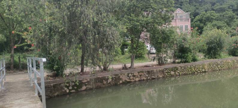 万绿湖桔凹民宿图片