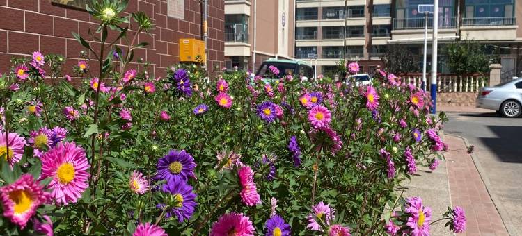 郁景花园公寓(诺尔大街分店)图片