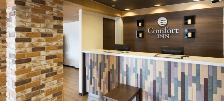 新泻龟田舒适酒店(Comfort Inn Niigata Kameda)图片