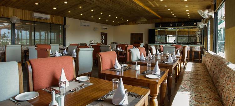 Treebo祝福钟声(Treebo Blessing Bells)图片