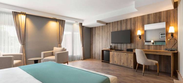 伊斯坦布尔阿尔纳武特奎温德姆戴斯酒店(Days Inn by Wyndham Istanbul Arnavutkoy)图片