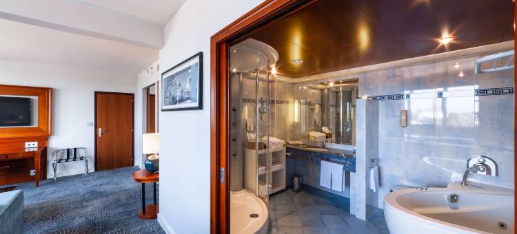 斯特拉斯堡希尔顿酒店(Hilton Strasbourg)图片