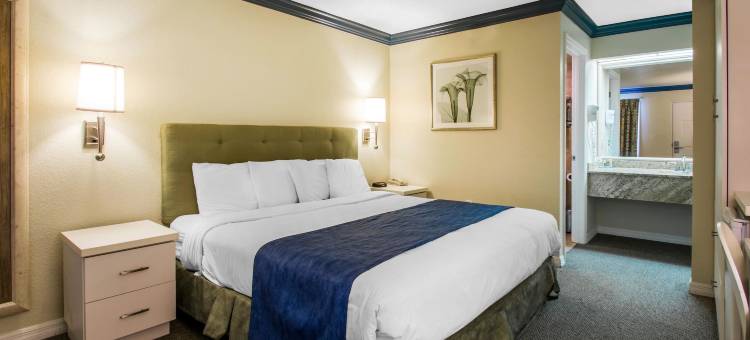 克莱蒙西基西米凯艺酒店(Quality Inn Clermont West Kissimmee)图片