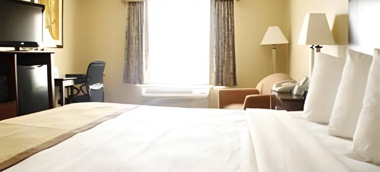Best Western Executive Hotel图片