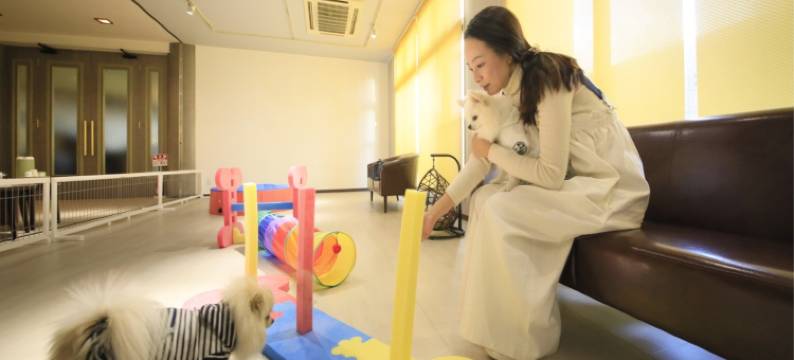 Yururi 西伊豆旅馆(Yururi Nishiizu)图片