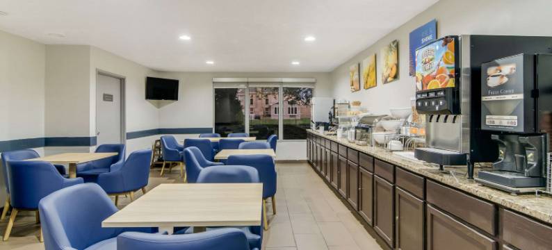 舒适套房酒店 - 近 I-80 及 I-94(Comfort Suites Near I-80 and I-94)图片