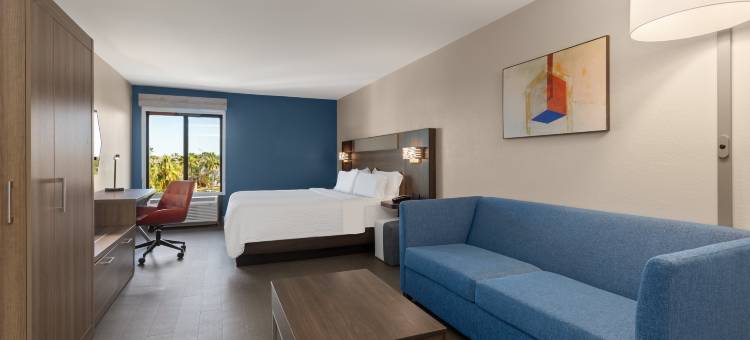 坦帕机场智选假日酒店(Holiday Inn Express & Suites Tampa Airport)图片