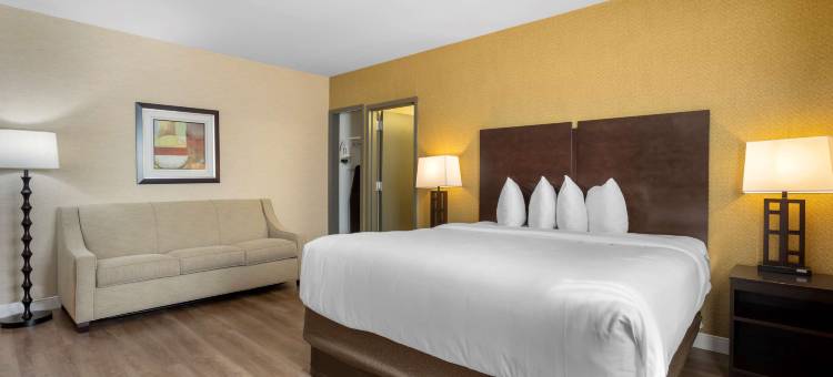 Best Western Plus Plaza Hotel图片