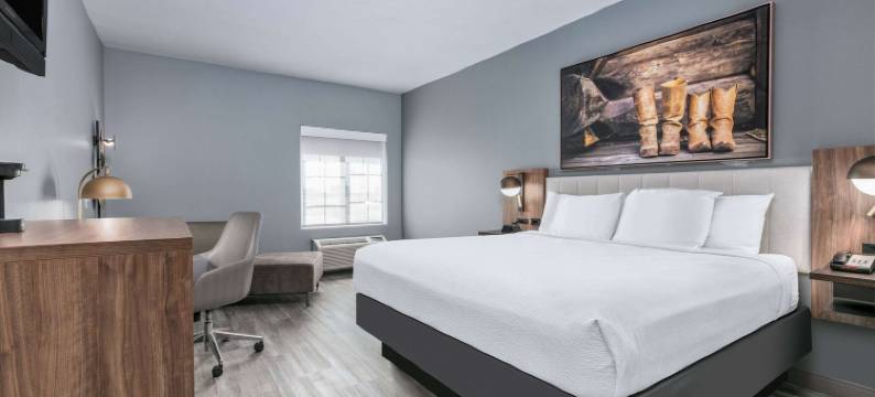 迪凯特拉昆塔温德姆套房酒店(La Quinta Inn & Suites by Wyndham Decatur)图片