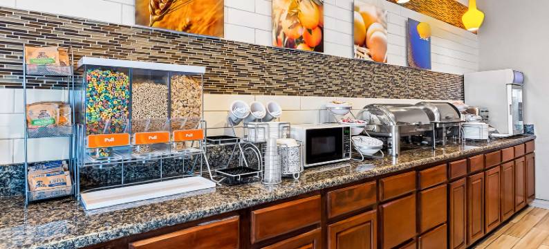 万塞讷舒适套房酒店(Comfort Suites)图片