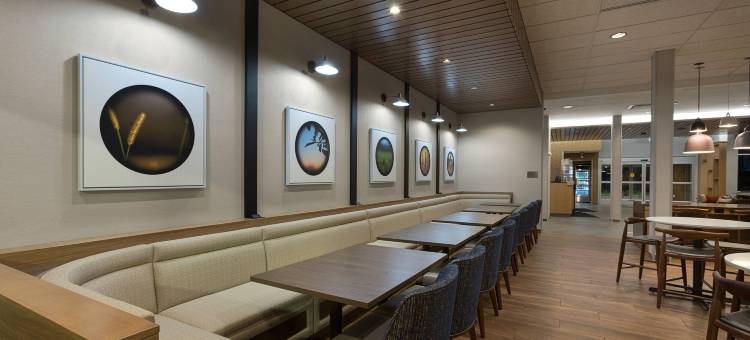 斯泰茨维尔万枫酒店及套房(Fairfield Inn & Suites Statesville)图片