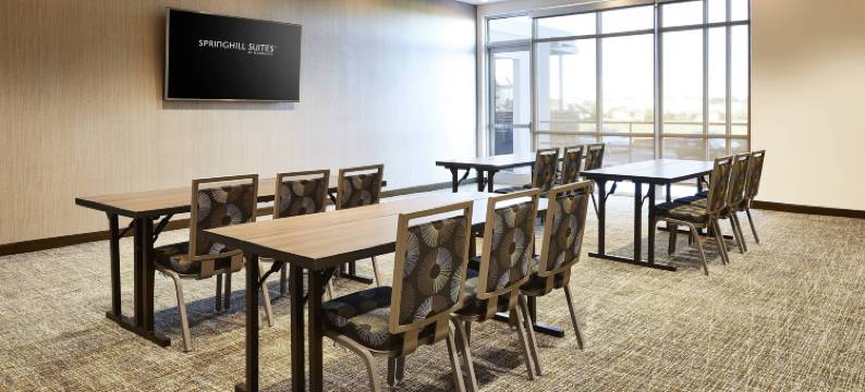 斯普林菲尔德北SpringHill Suites酒店(SpringHill Suites Springfield North)图片