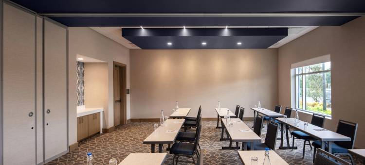奥兰多塞莱斯特酒店-臻品之选(The Celeste Hotel, Orlando, a Tribute Portfolio Hotel)图片