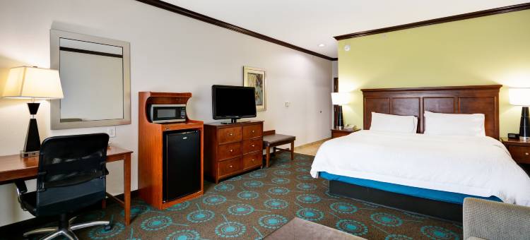 圣安东尼奥/东北I-35欢朋酒店及套房(Hampton Inn & Suites San Antonio/Northeast I-35)图片