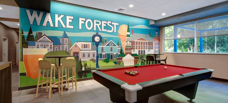 希尔顿真实醒森森林雷利北酒店(Tru by Hilton Wake Forest Raleigh North)图片