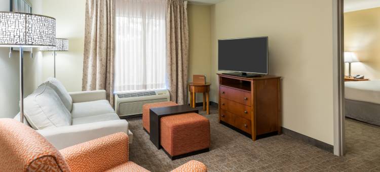 圣路易斯河港机场西长住套房酒店(Larkspur Landing Extended Stay Suites St Louis Riverport)图片