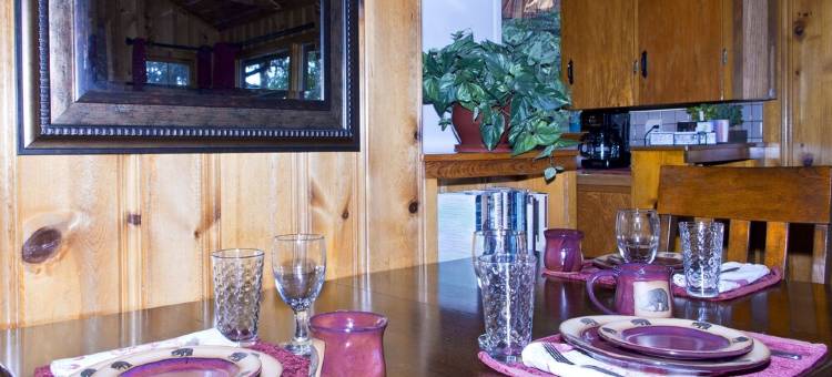 Rustic Historic Mountain Cabin by Pikes Peak.图片