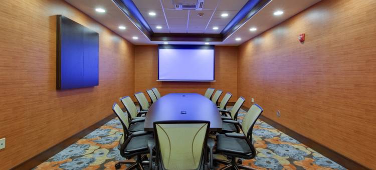 希尔顿花园旅馆-本顿港圣约瑟夫(Hilton Garden Inn Benton Harbor/St. Joseph)图片