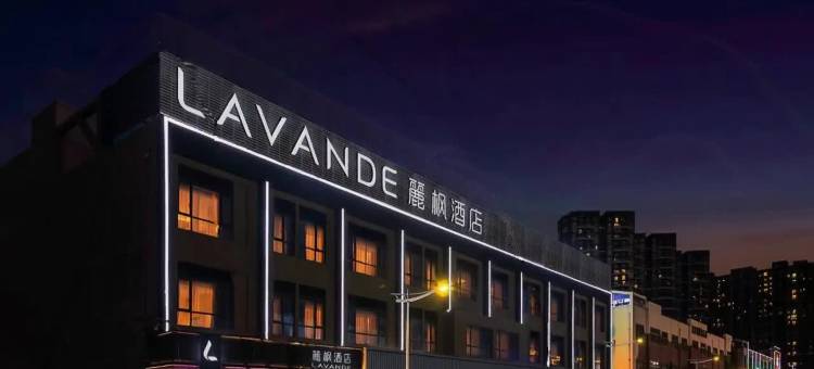 麗枫酒店(东莞东城33小镇店)图片