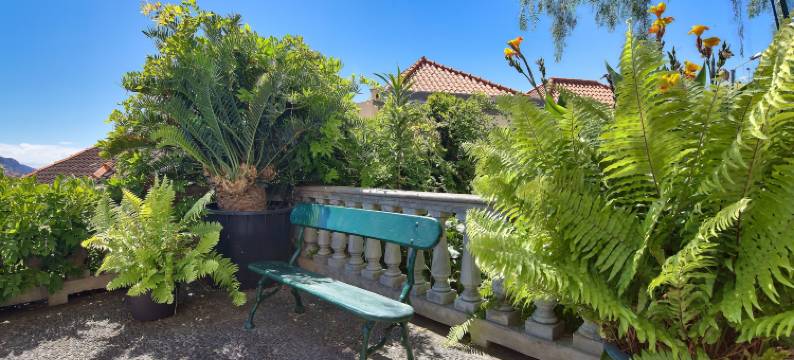 蒙特卡罗酒店(Hotel Monte Carlo)图片