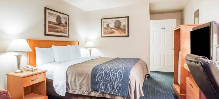 舒适套房酒店(Comfort Inn & Suites Salinas)图片