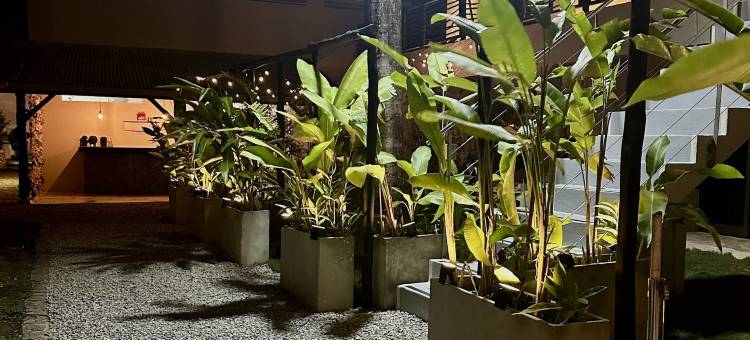 阿比的角落(El Rincon de Abi)图片