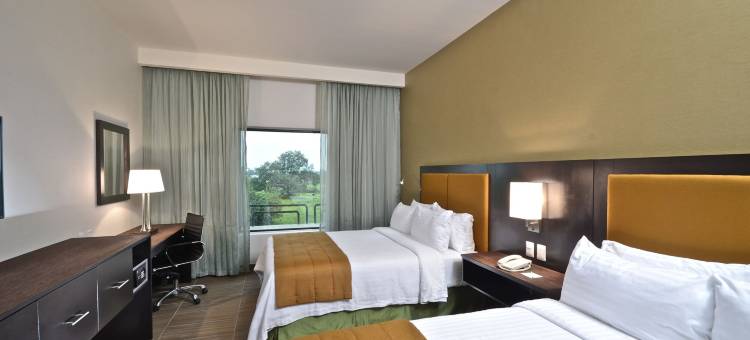 Holiday Inn 坦皮科阿尔塔米拉(Holiday Inn Tampico Altamira)图片