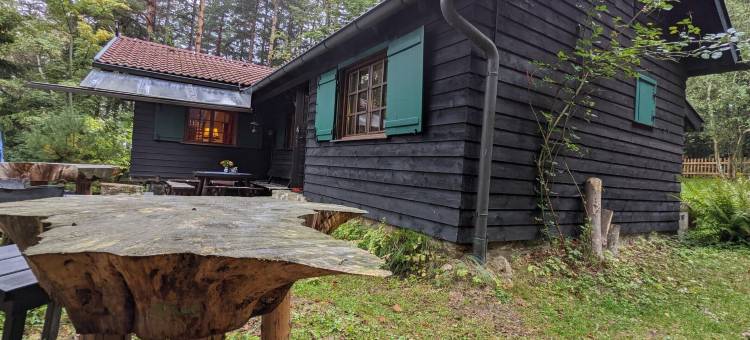 埃德利茨的度假屋，靠近滑雪坡(Holiday Home in Edlitz Near Ski Slopes)图片