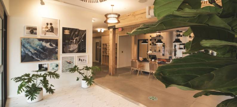 盐线酒店(Saltline)图片