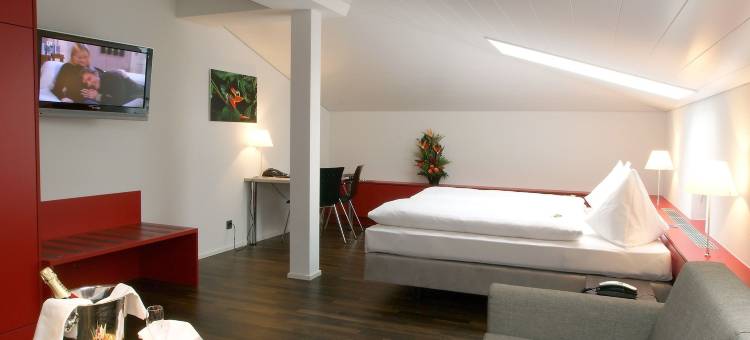 Hotel Spirgarten图片