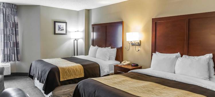 五角大楼城舒适酒店(Comfort Inn Pentagon City)图片